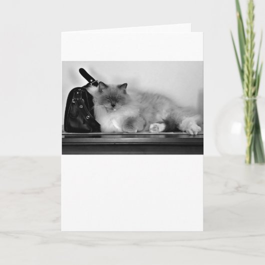 Langsame Tage, Karte (Vorderseite)