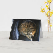 Langsame Tage, Karte (Gelbe Blume)