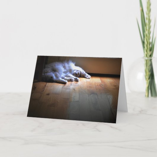 Langsame Tage, Karte (Vorderseite)