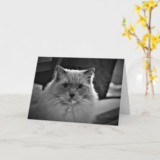 Langsame Tage, Karte (Gelbe Blume)