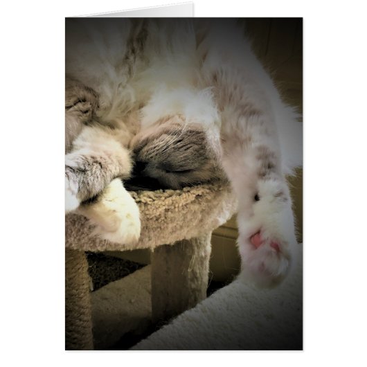 Langsame Tage, Karte (Vorne)