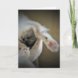 Langsame Tage, Karte