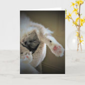 Langsame Tage, Karte (Gelbe Blume)