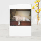 Langsame Tage, Karte (Gelbe Blume)