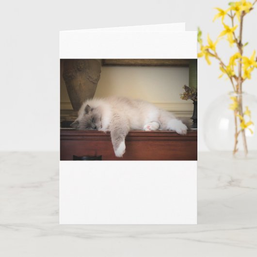 Langsame Tage, Karte (Gelbe Blume)