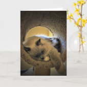 Langsame Tage, Karte (Gelbe Blume)