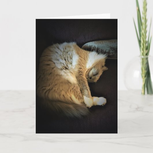 Langsame Tage, Karte (Vorderseite)