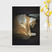 Langsame Tage, Karte (Gelbe Blume)