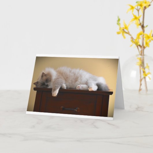 Langsame Tage, Karte (Gelbe Blume)