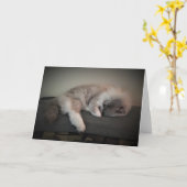 Langsame Tage, Karte (Gelbe Blume)