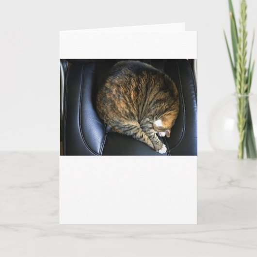 Langsame Tage, Karte (Vorderseite)