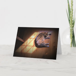 Langsame Tage, Karte