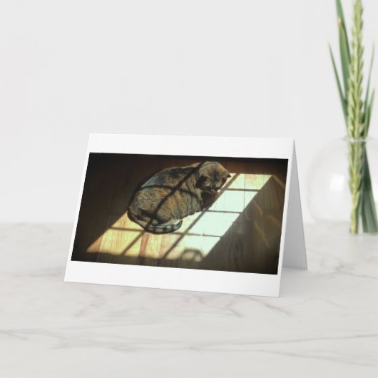 Langsame Tage, Karte (Vorderseite)