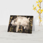 Langsame Tage, Karte (Gelbe Blume)