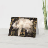 Langsame Tage, Karte (Vorderseite)