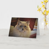 Langsame Tage, Karte (Gelbe Blume)