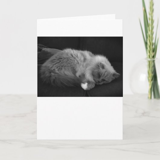 Langsame Tage, Karte (Vorderseite)