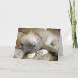 Langsame Tage, Karte