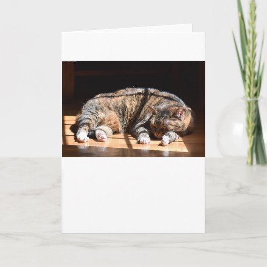 Langsame Tage, Karte (Vorderseite)