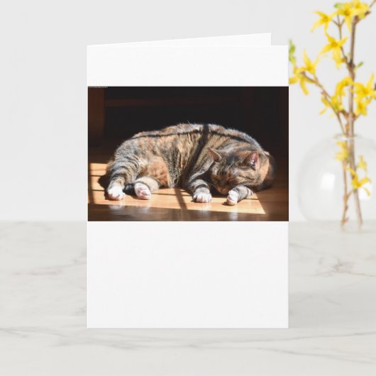 Langsame Tage, Karte (Gelbe Blume)