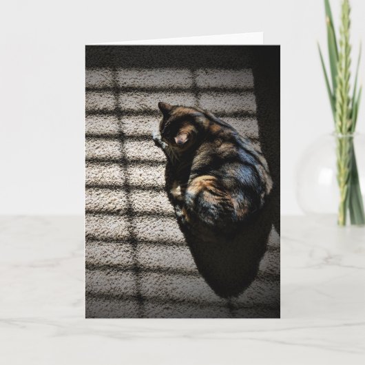 Langsame Tage, Karte (Vorderseite)