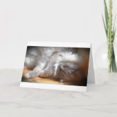 Langsame Tage, Karte (Vorderseite)