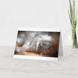 Langsame Tage, Karte