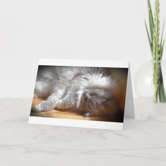 Langsame Tage, Karte (Vorderseite)