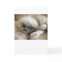 Langsame Tage, Karte