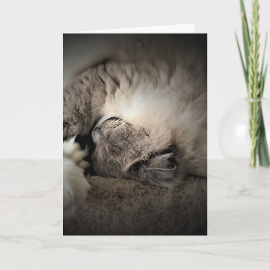 Langsame Tage, Karte (Vorderseite)