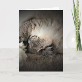 Langsame Tage, Karte