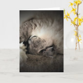 Langsame Tage, Karte (Gelbe Blume)