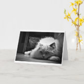 Langsame Tage, Karte (Gelbe Blume)