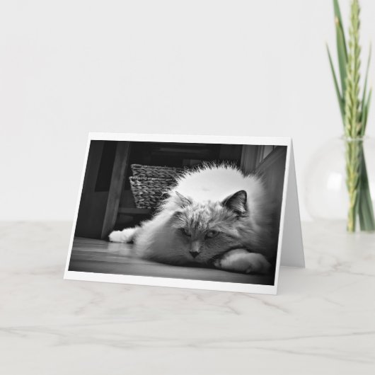 Langsame Tage, Karte (Vorderseite)