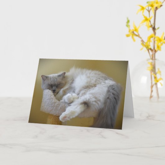 Langsame Tage, Karte (Gelbe Blume)