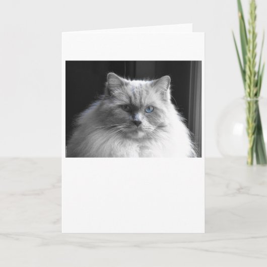 Langsame Tage, Karte (Vorderseite)