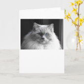 Langsame Tage, Karte (Gelbe Blume)