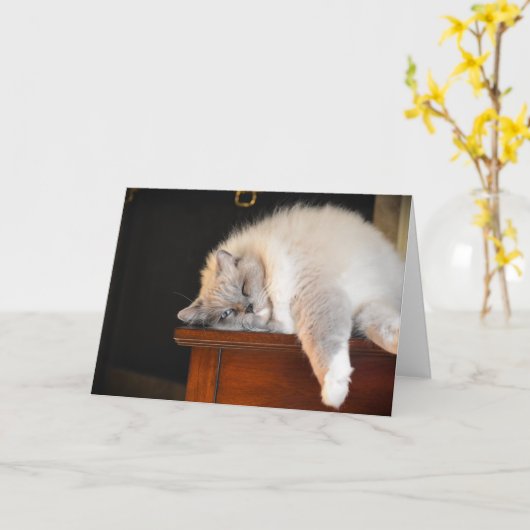 Langsame Tage, Karte (Gelbe Blume)