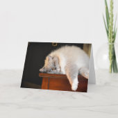 Langsame Tage, Karte (Vorderseite)