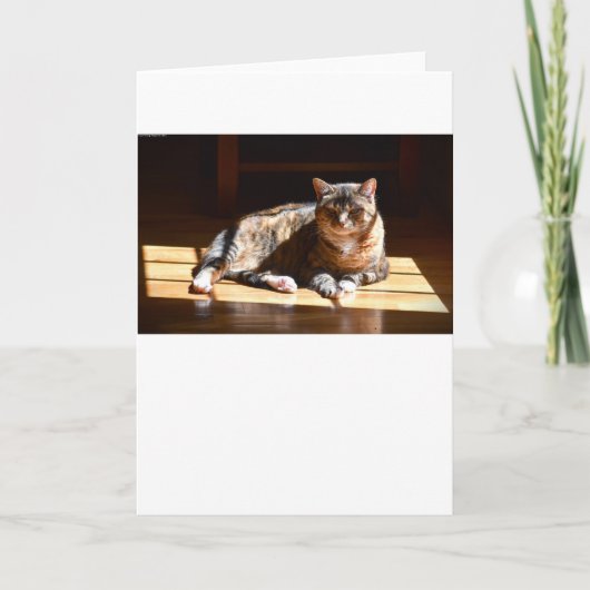 Langsame Tage, Karte (Vorderseite)