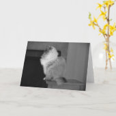 Langsame Tage, Karte (Gelbe Blume)