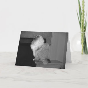 Langsame Tage, Karte