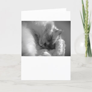 Langsame Tage, Karte