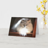 Langsame Tage, Karte (Gelbe Blume)