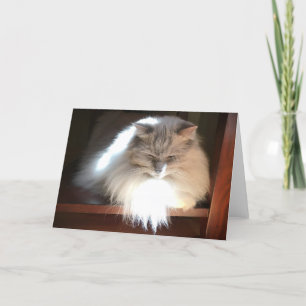 Langsame Tage, Karte