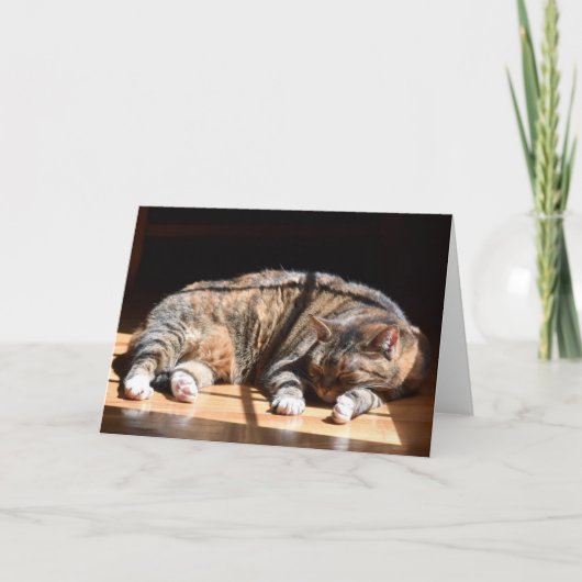 Langsame Tage, Karte (Vorderseite)