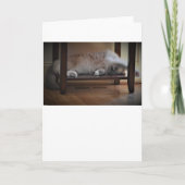 Langsame Tage, Karte (Vorderseite)