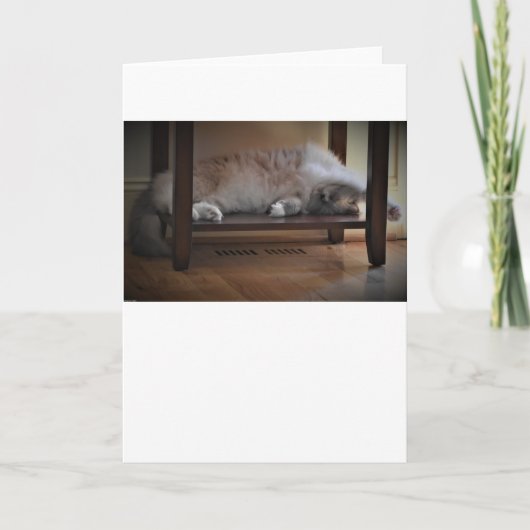 Langsame Tage, Karte (Vorderseite)