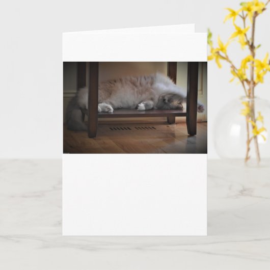 Langsame Tage, Karte (Gelbe Blume)