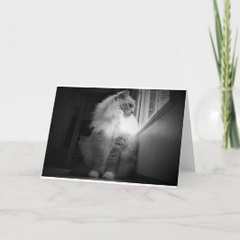 Langsame Tage, Karte